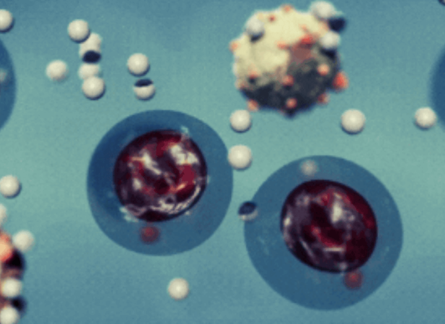 illustration of how the drug protects blood cells