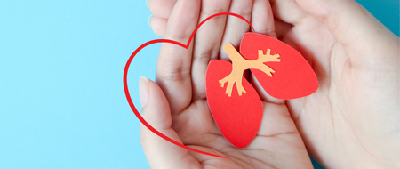 hands gently holding red paper lungs with a heart shaped swish around the lungs.